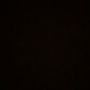 Meet your Posher, Jayla